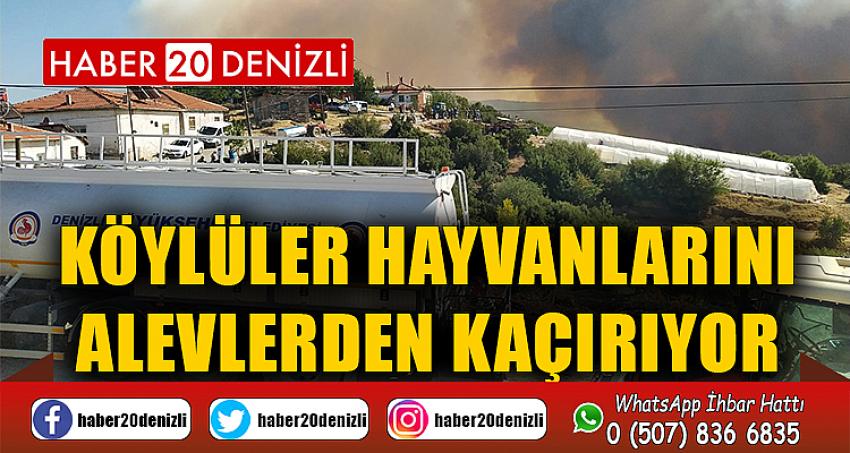 Köylüler hayvanlarını alevlerden kaçırıyor