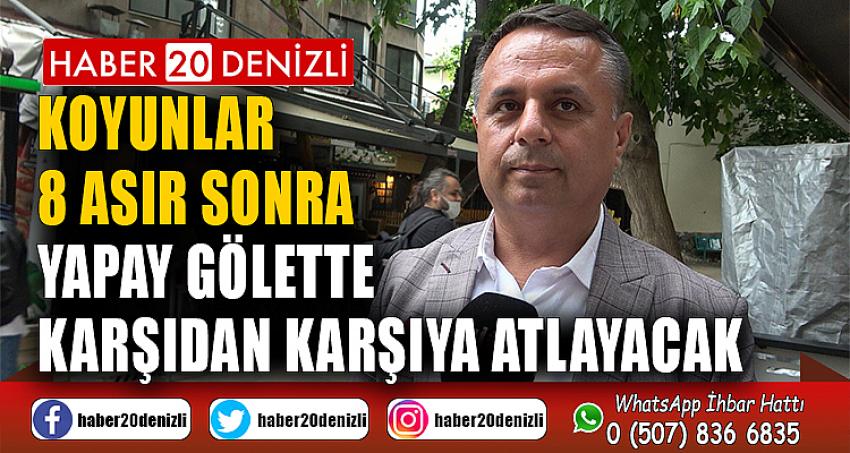 Koyunlar 8 asır sonra yapay gölette karşıdan karşıya atlayacak