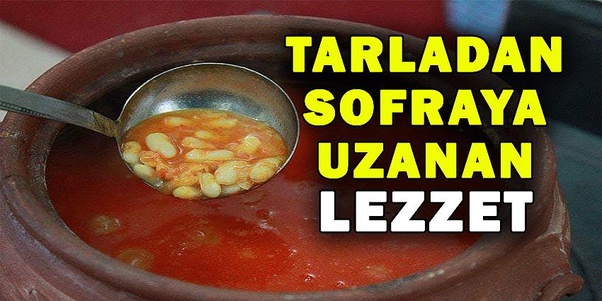 TARLADAN SOFRAYA UZANAN LEZZET