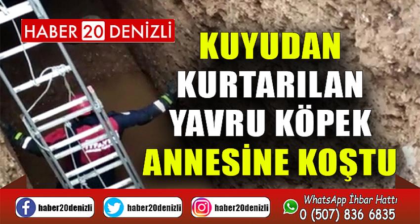 Kuyudan kurtarılan yavru köpek annesine koştu