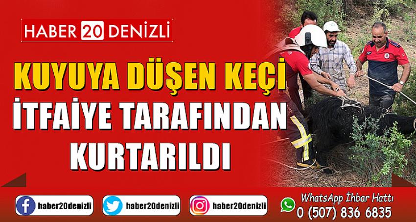 Kuyuya düşen keçi itfaiye tarafından kurtarıldı