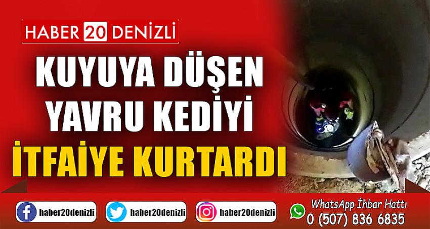 Kuyuya düşen yavru kediyi itfaiye kurtardı