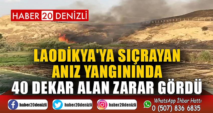 Laodikya'ya sıçrayan anız yangınında 40 dekar alan zarar gördü