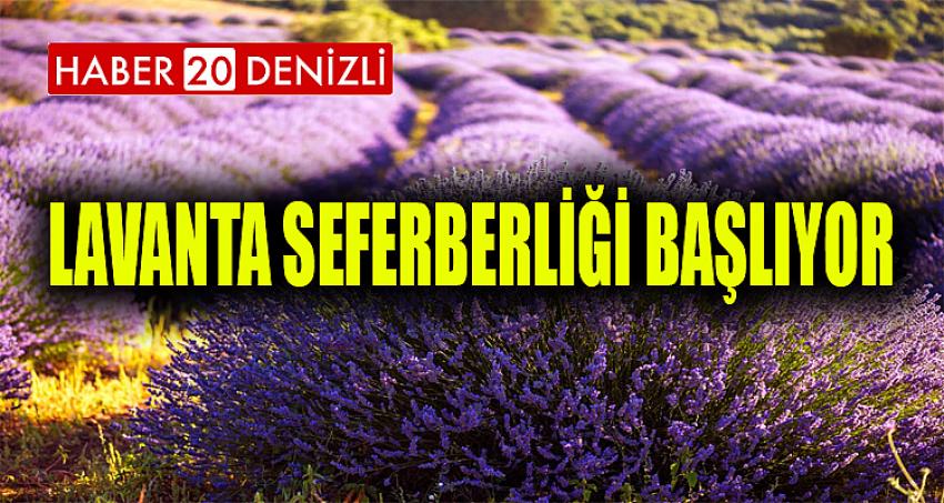 LAVANTA SEFERBERLİĞİ BAŞLIYOR