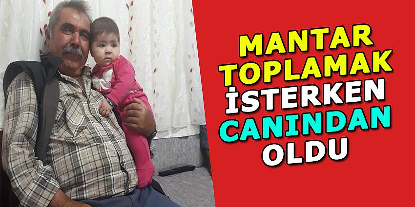 MANTAR TOPLAMAK İSTERKEN CANINDAN OLDU