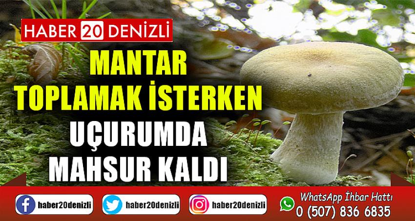 Mantar toplamak isterken uçurumda mahsur kaldı