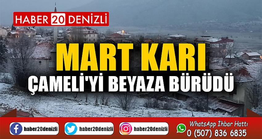 Mart karı Çameli'yi beyaza bürüdü