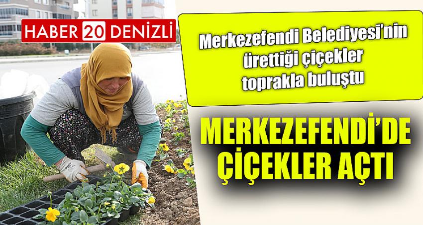 MERKEZEFENDİ’DE ÇİÇEKLER AÇTI