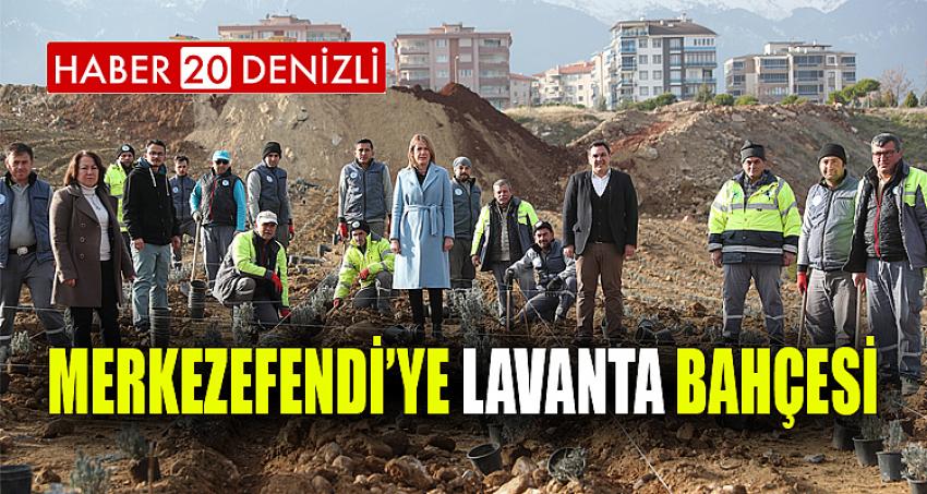 MERKEZEFENDİ’YE LAVANTA BAHÇESİ