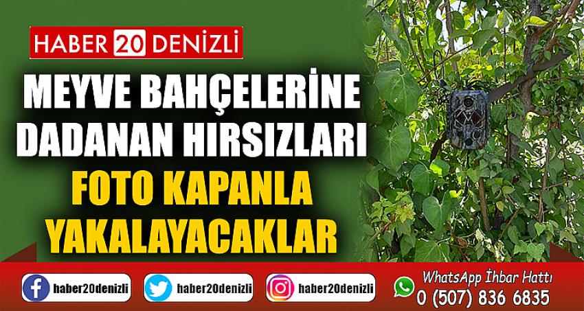 Meyve bahçelerine dadanan hırsızları foto kapanla yakalayacaklar