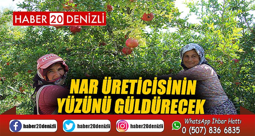 Nar üreticisinin yüzünü güldürecek