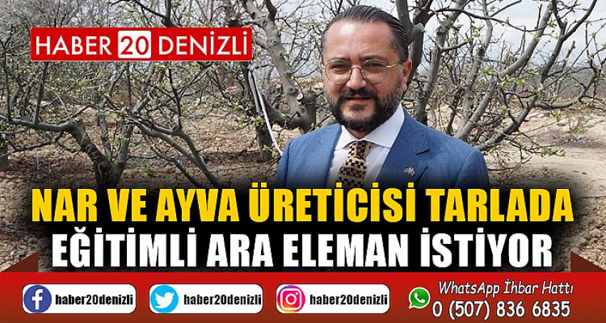 Nar ve ayva üreticisi tarlada eğitimli ara eleman istiyor