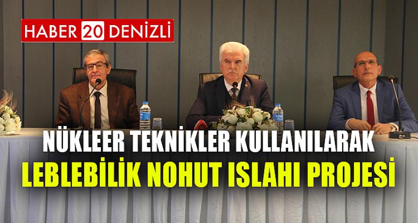 Nükleer Teknikler Kullanılarak Leblebilik Nohut Islahı Projesi