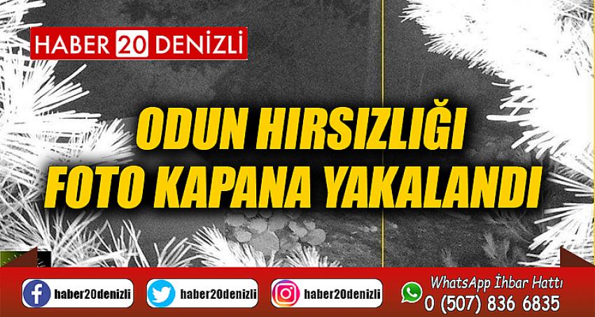 Odun hırsızlığı foto kapana yakalandı