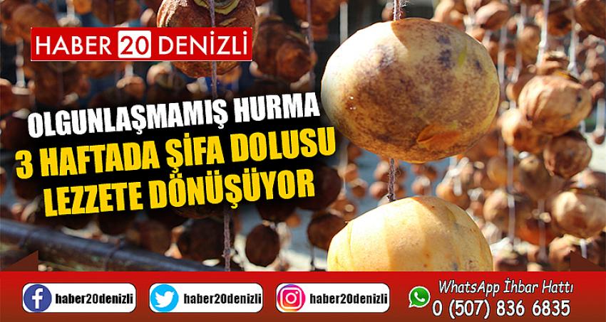 Olgunlaşmamış hurma 3 haftada şifa dolusu lezzete dönüşüyor