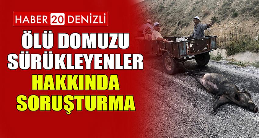 Ölü domuzu sürükleyenler hakkında soruşturma