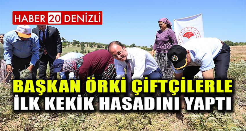 BAŞKAN ÖRKİ ÇİFTÇİLERLE İLK KEKİK HASADINI YAPTI