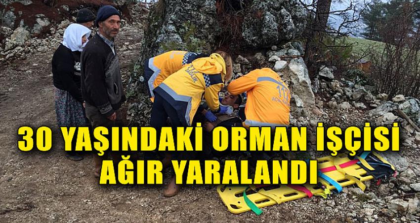 30 YAŞINDAKİ ORMAN İŞÇİSİ AĞIR YARALANDI