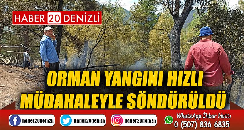 Orman yangını hızlı müdahaleyle söndürüldü