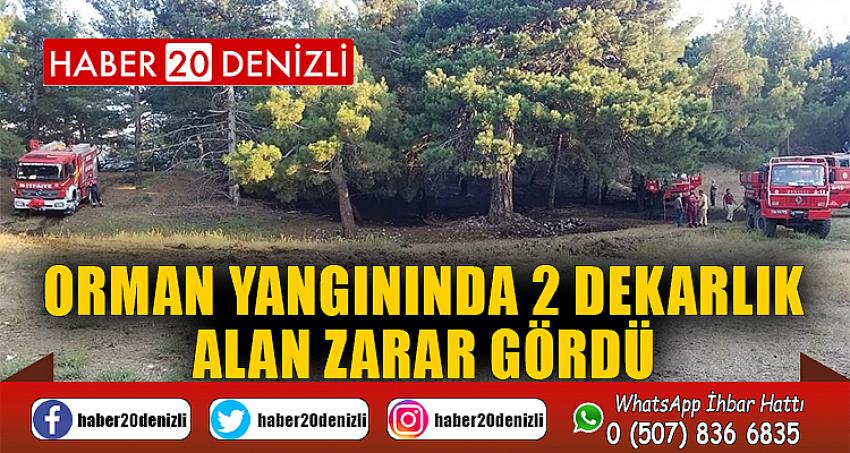 Orman yangınında 2 dekarlık alan zarar gördü