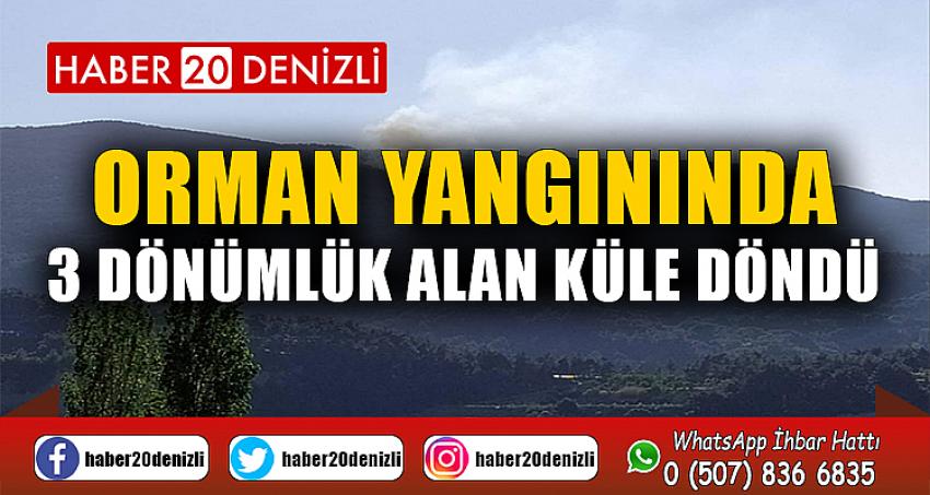 Orman yangınında 3 dönümlük alan küle döndü