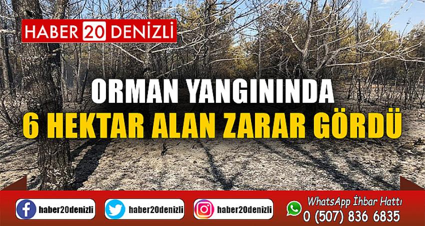 Orman yangınında 6 hektar alan zarar gördü