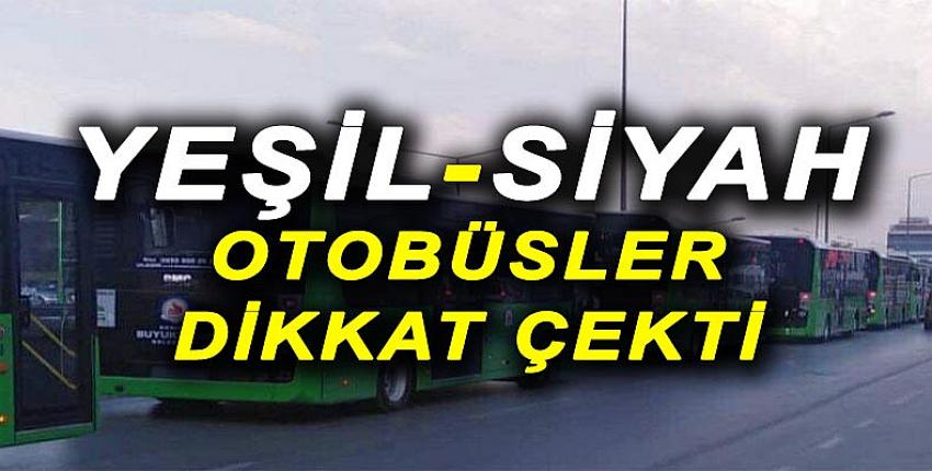 YEŞİL-SİYAH OTOBÜSLER DİKKAT ÇEKTİ