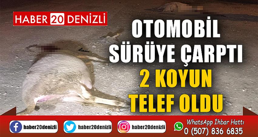 Otomobil sürüye çarptı, 2 koyun telef oldu