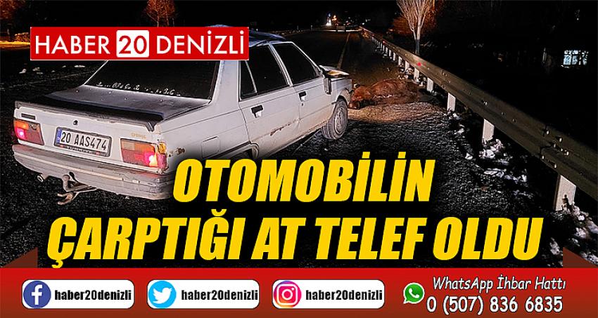 Otomobilin çarptığı at telef oldu