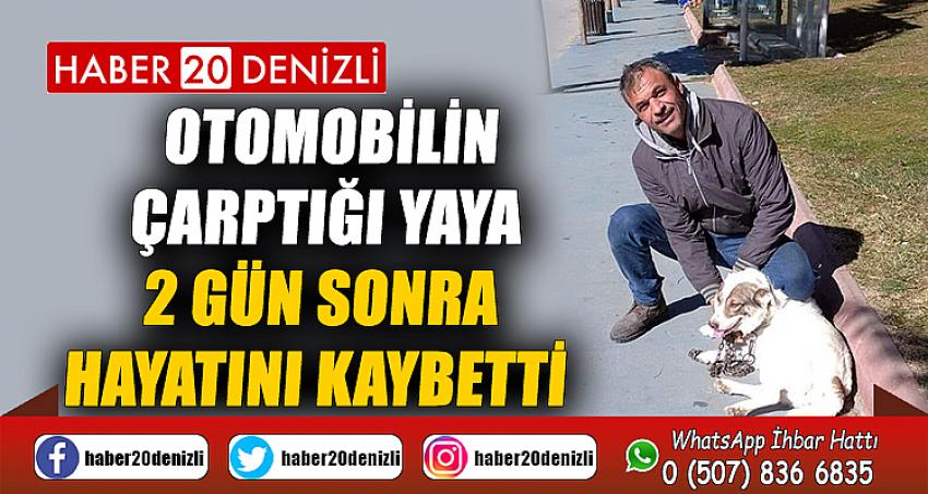 Otomobilin çarptığı yaya 2 gün sonra hayatını kaybetti