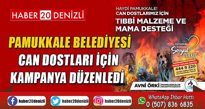 PAMUKKALE BELEDİYESİ CAN DOSTLARI İÇİN KAMPANYA DÜZENLEDİ