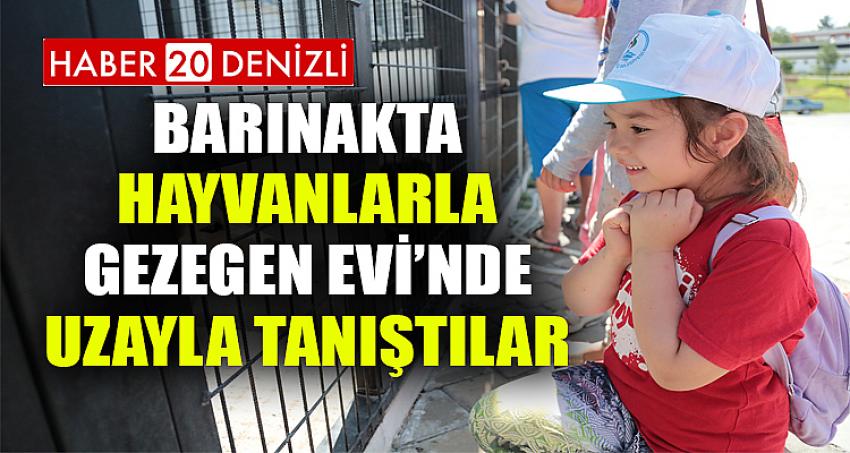 PAMUKKALELİ ÇOCUKLAR BARINAKTA HAYVANLARLA, GEZEGEN EVİ’NDE UZAYLA TANIŞTILAR