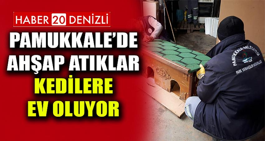 PAMUKKALE’DE AHŞAP ATIKLAR KEDİLERE EV OLUYOR