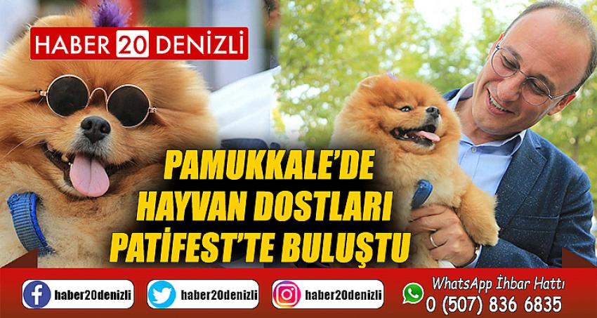 Pamukkale’de hayvan dostları Patifest’te buluştu