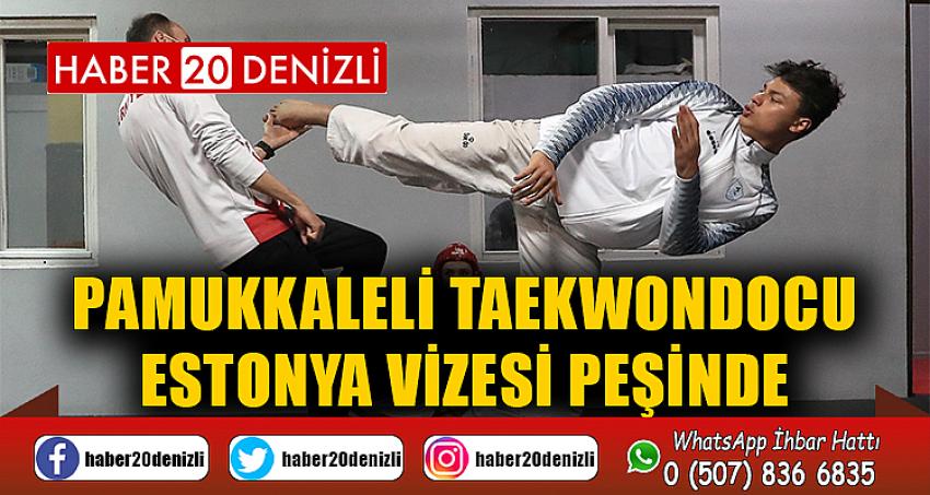 Pamukkaleli Taekwondocu, Estonya vizesi peşinde