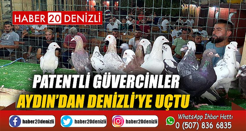 Patentli güvercinler Aydın’dan Denizli’ye uçtu