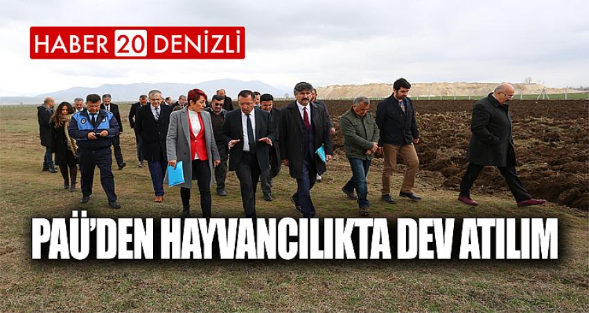 PAÜ’den Hayvancılıkta Dev Atılım