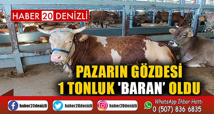 Pazarın gözdesi 1 tonluk 'Baran’ oldu