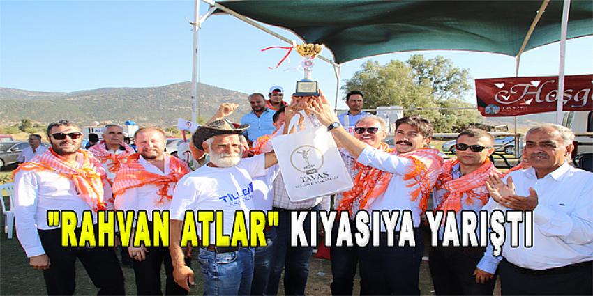 "RAHVAN ATLAR" KIYASIYA YARIŞTI