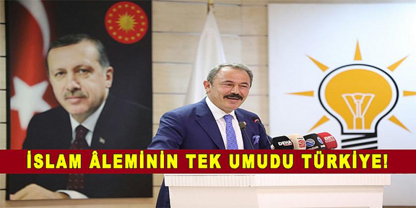 İSLAM ÂLEMİNİN TEK UMUDU TÜRKİYE!