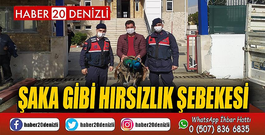 Şaka gibi hırsızlık şebekesi