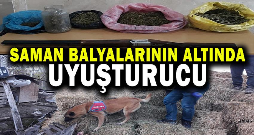 SAMAN BALYALARININ ALTINDA UYUŞTURUCU