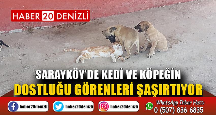 Sarayköy’de kedi ve köpeğin dostluğu görenleri şaşırtıyor