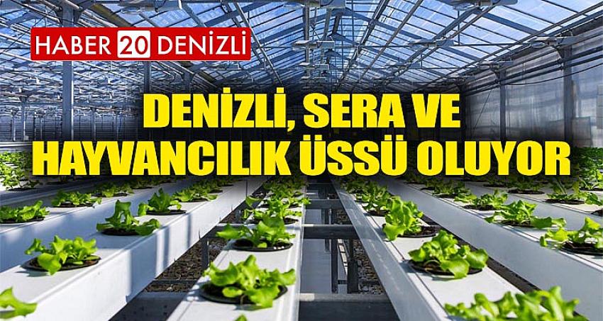 DENİZLİ, SERA VE HAYVANCILIK ÜSSÜ OLUYOR