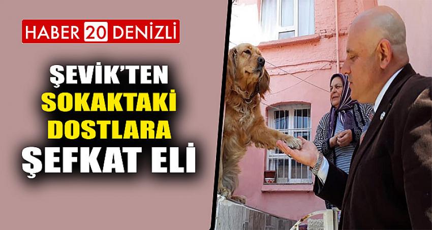 Şevik’ten sokaktaki dostlara şefkat eli