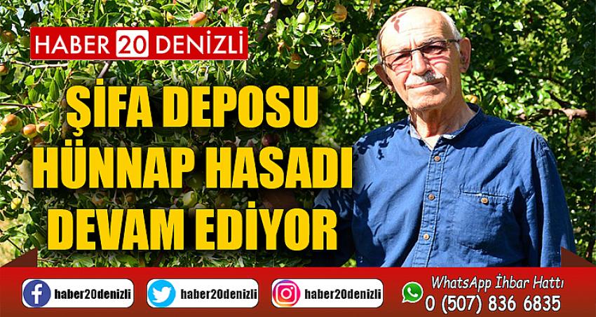 Şifa Deposu Hünnap Hasadı Devam Ediyor