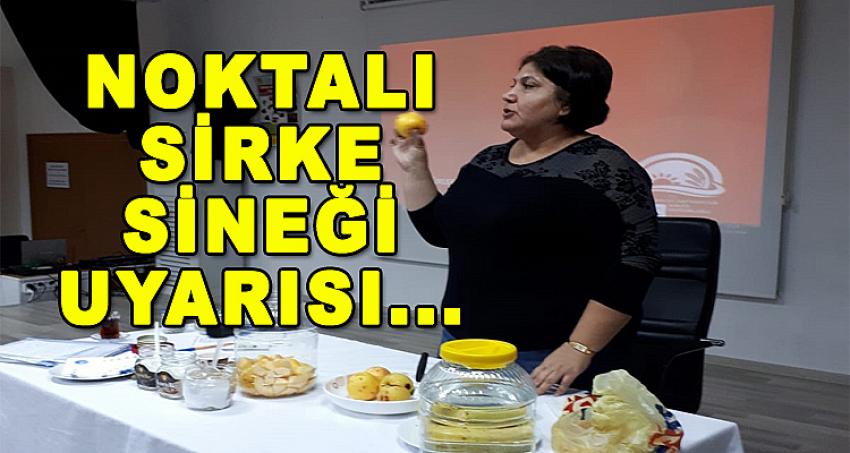 NOKTALI SİRKE SİNEĞİ UYARISI