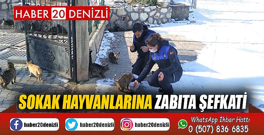 SOKAK HAYVANLARINA ZABITA ŞEFKATİ