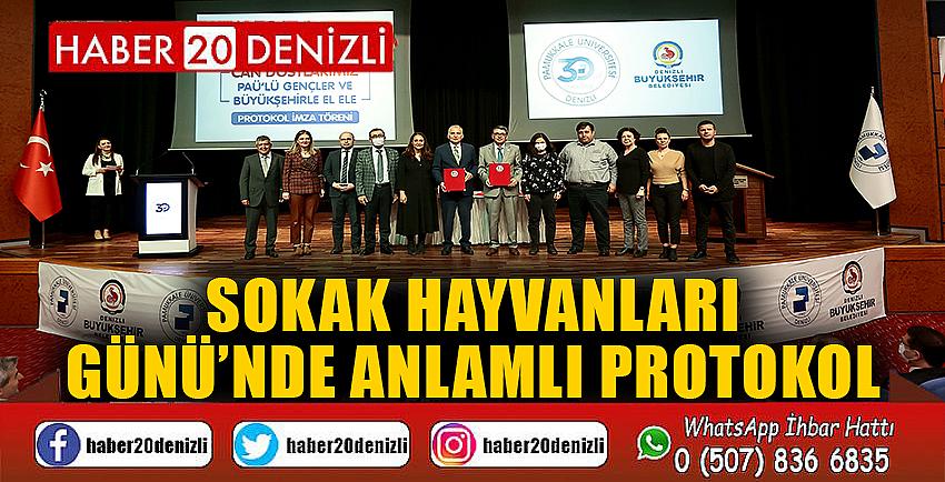 Sokak Hayvanları Günü’nde anlamlı protokol