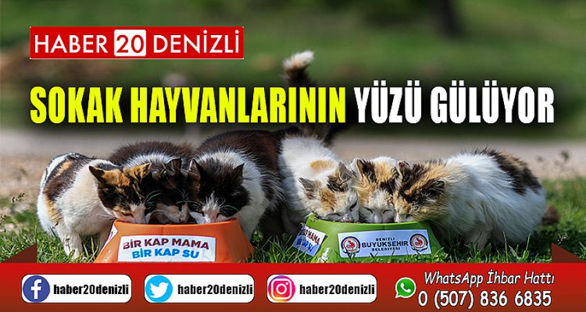 Sokak hayvanlarının yüzü gülüyor